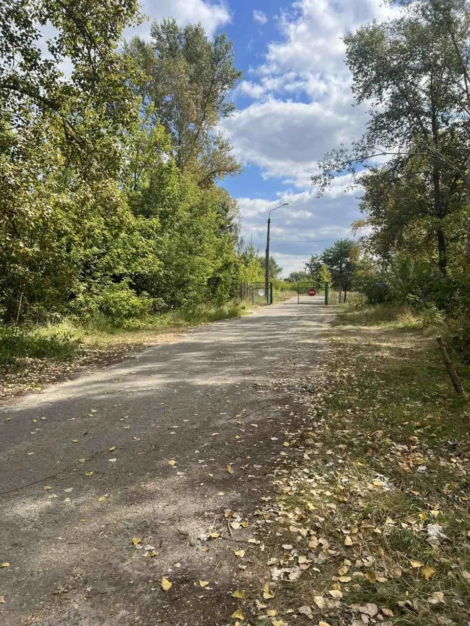 Фото Продаю земельну ділянку, Осещина, ціна: 24700 $, код 4336