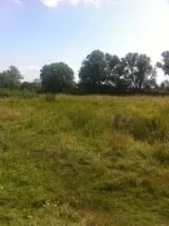 Фото Продаю земельну ділянку, Хутірська вул. (Щорса)  Гоголів, ціна: 11000 $, код 4433