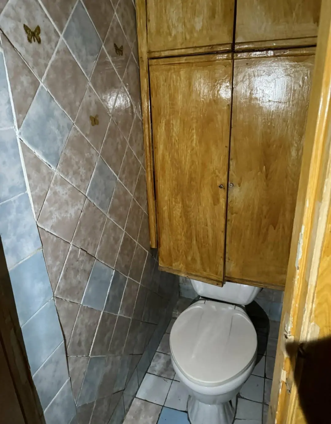 Фото Продаю 2-комнатную квартиру, 47 кв. м, Киевский Шлях ул.  Борисполь, цена: 40000 $, код 4499