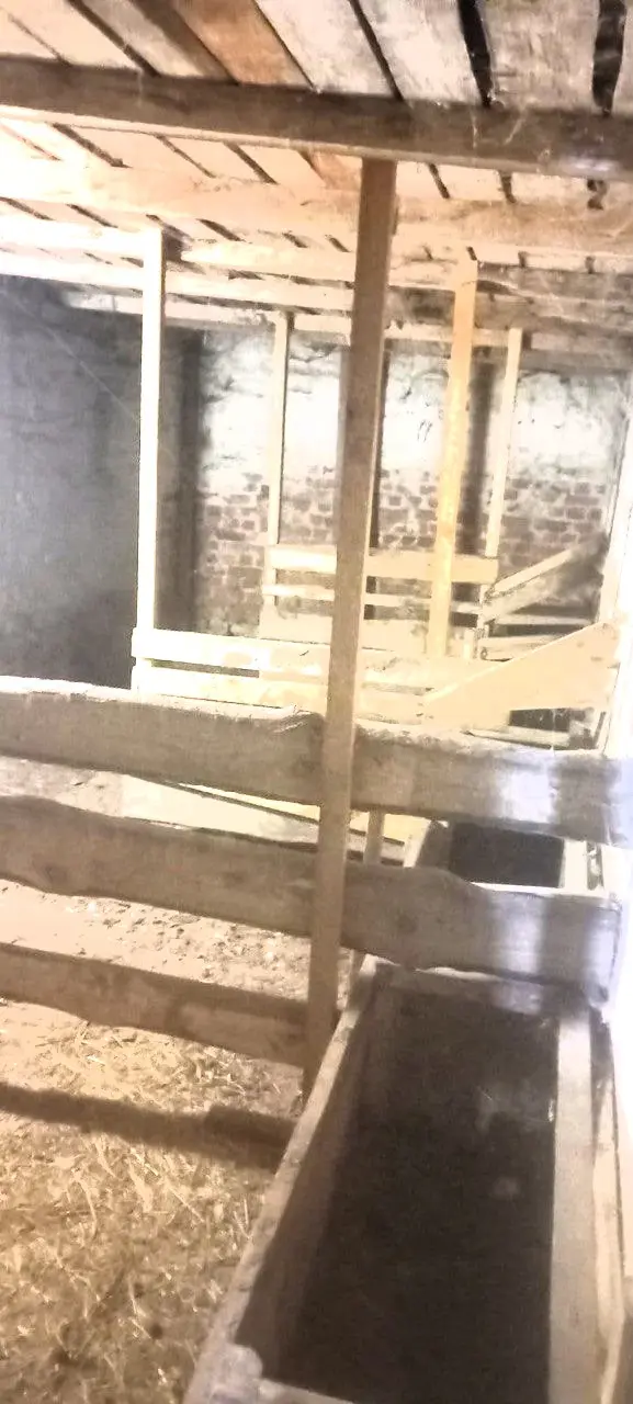 Фото Продаю готовий бізнес, 1526 кв. м, Ємільчине, ціна: 79900 $, код 4512