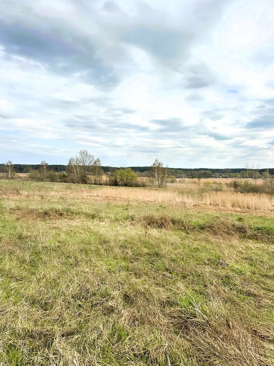 Фото Продаю земельну ділянку, Дмитрівка, ціна: 80000 $, код 4568