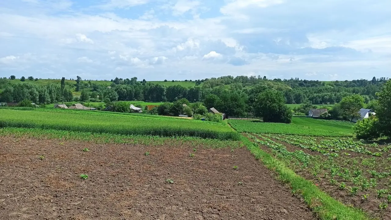 Фото Продаю земельну ділянку, Біла Церква, ціна: 20000 $, код 4589