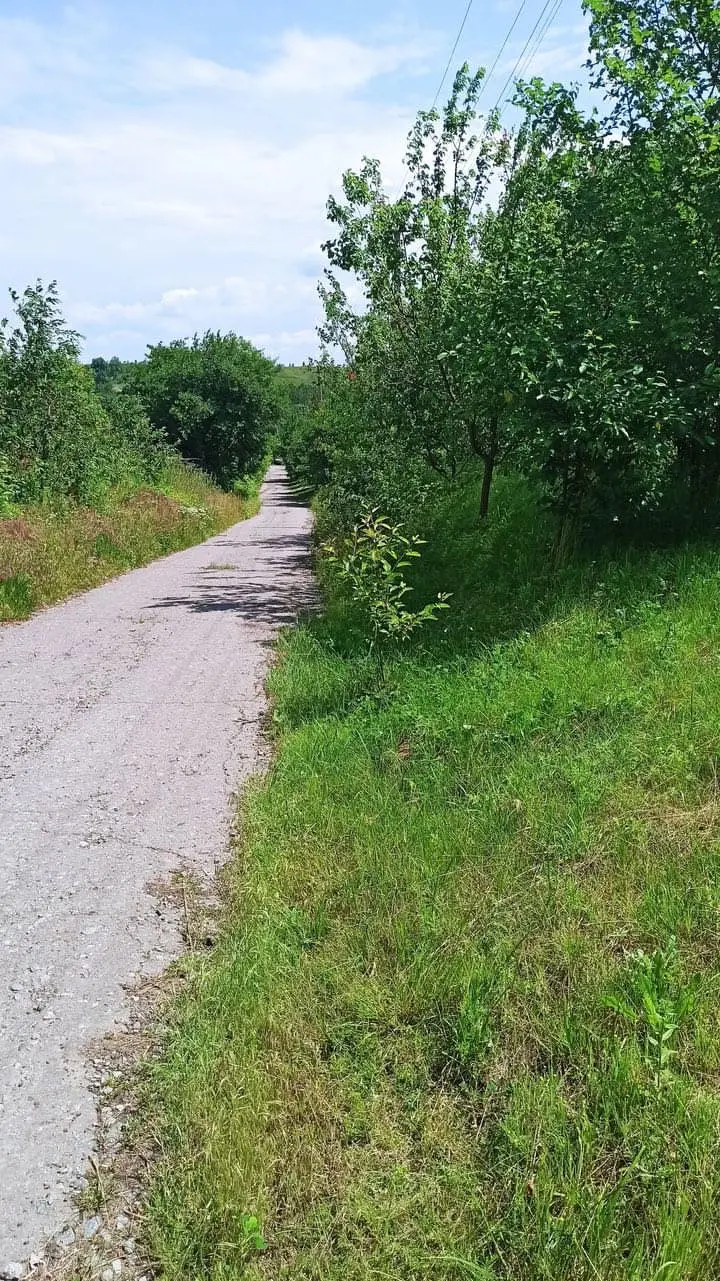 Фото Продаю земельну ділянку, Біла Церква, ціна: 20000 $, код 4589