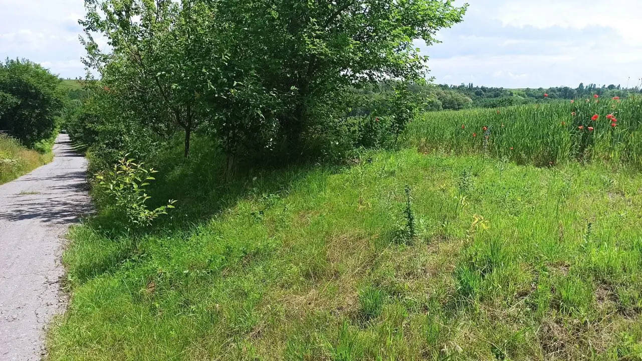 Фото Продаю земельну ділянку, Біла Церква, ціна: 20000 $, код 4589