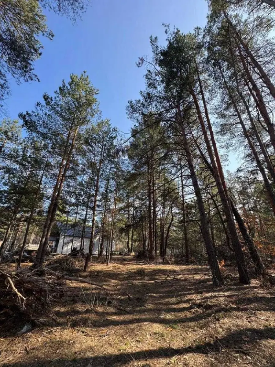 Фото Продаю земельный участок, Сосновый пер.  Киев, цена: 40000 $, код 4600