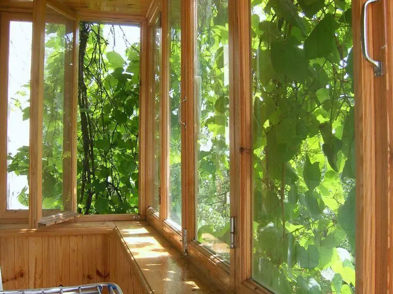 Фото Зняти 4 кімнатну квартиру, Лесі Українки бульв. 9 Київ в довгострокову оренду, ціна: 1000 $, код 4607