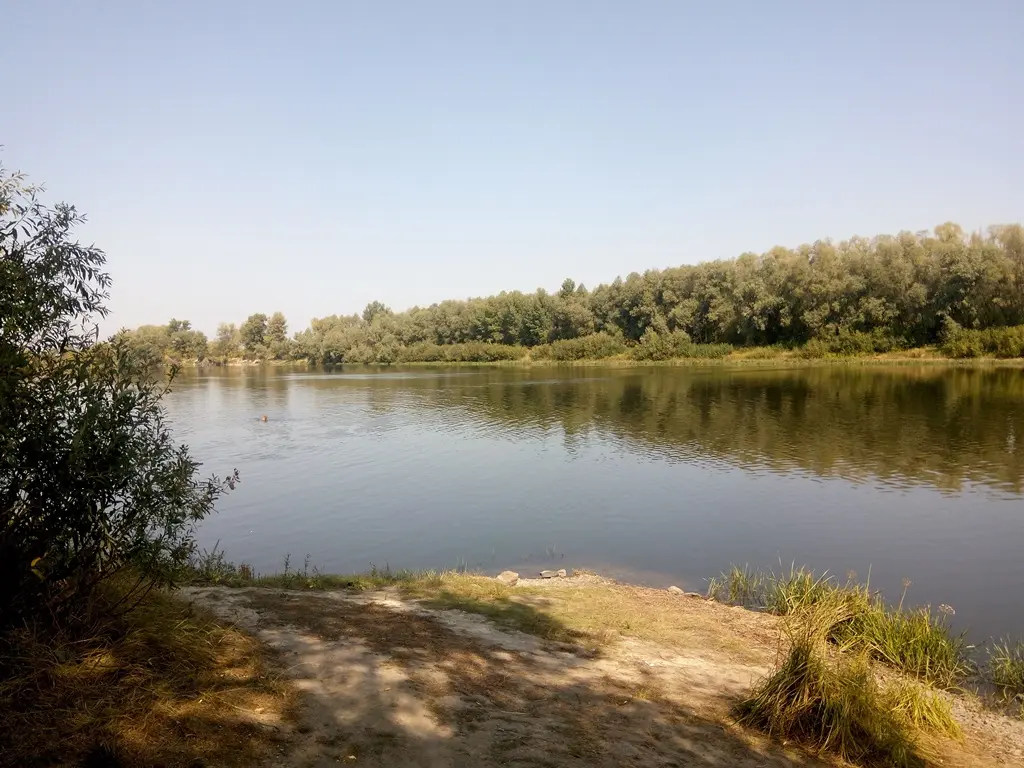 Фото Продаю земельну ділянку, Хоменка вул.  Рожни, ціна: 19000 $, код 4748
