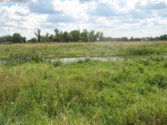 Фото Продаю земельну ділянку, Хоменка вул.  Рожни, ціна: 19000 $, код 4748