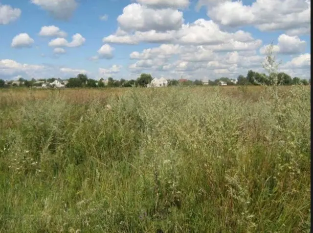 Фото Продаю земельну ділянку, Хоменка вул.  Рожни, ціна: 19000 $, код 4748