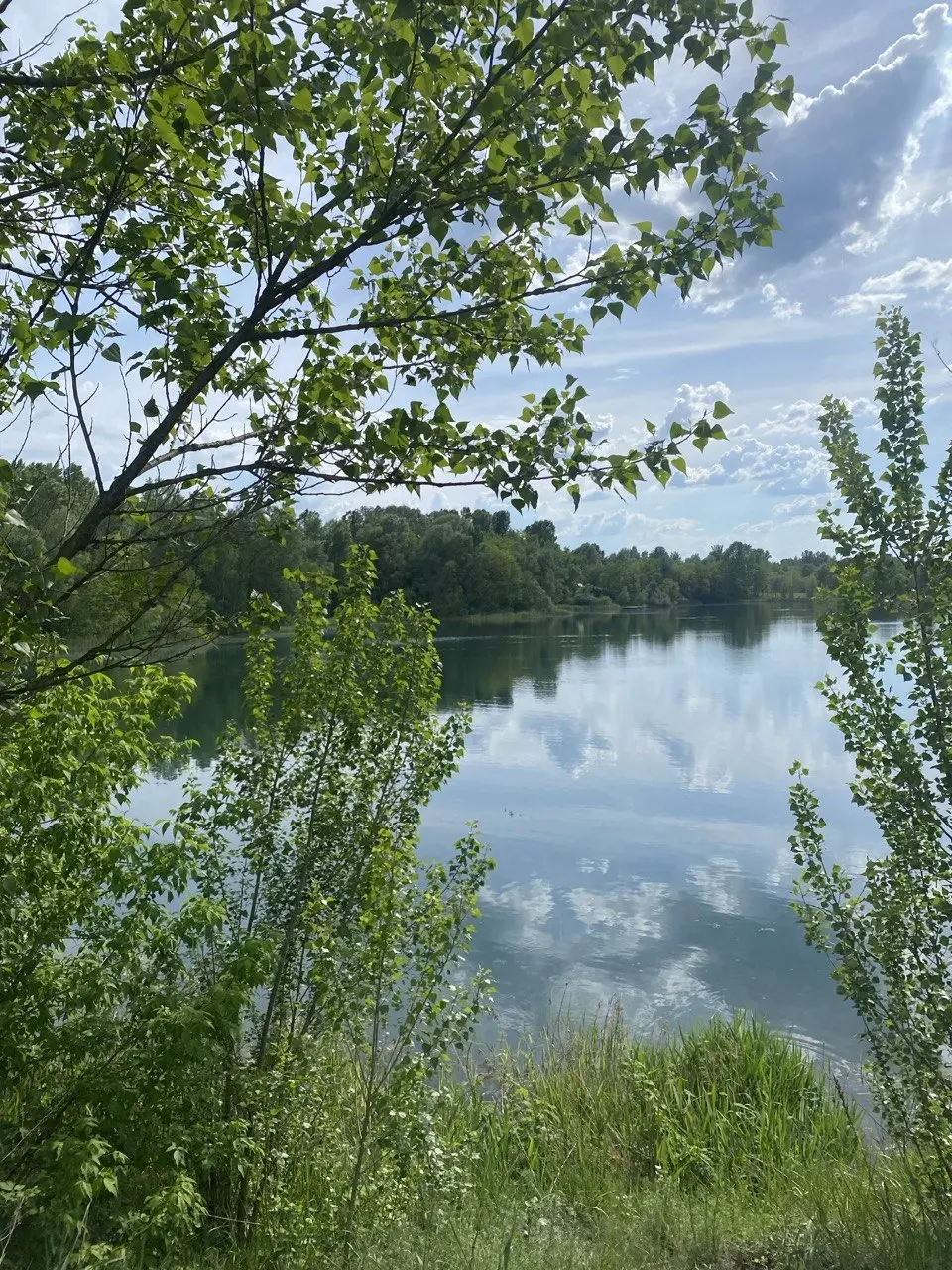 Фото Продаю будинок, 280 кв. м, Молодіжна вул.  Горенка, ціна: 59900 $, код 4764