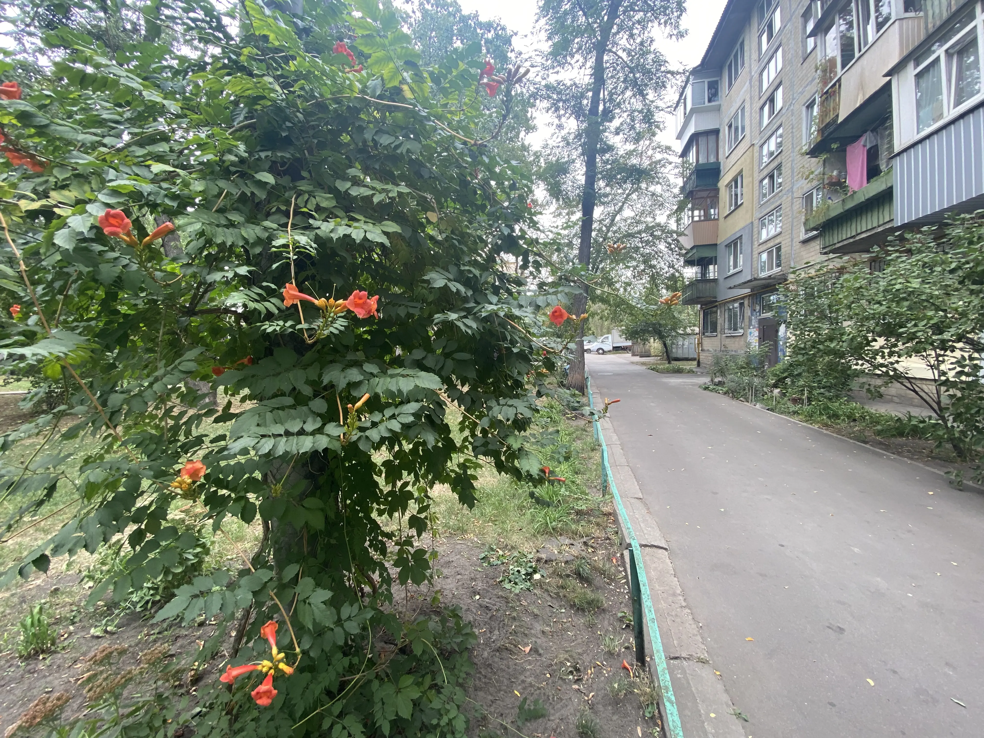 Фото Продаю 2 кімнатну квартиру, 45 кв. м, Петра Запорожця вул. 7а Київ, ціна: 39900 $, код 4790
