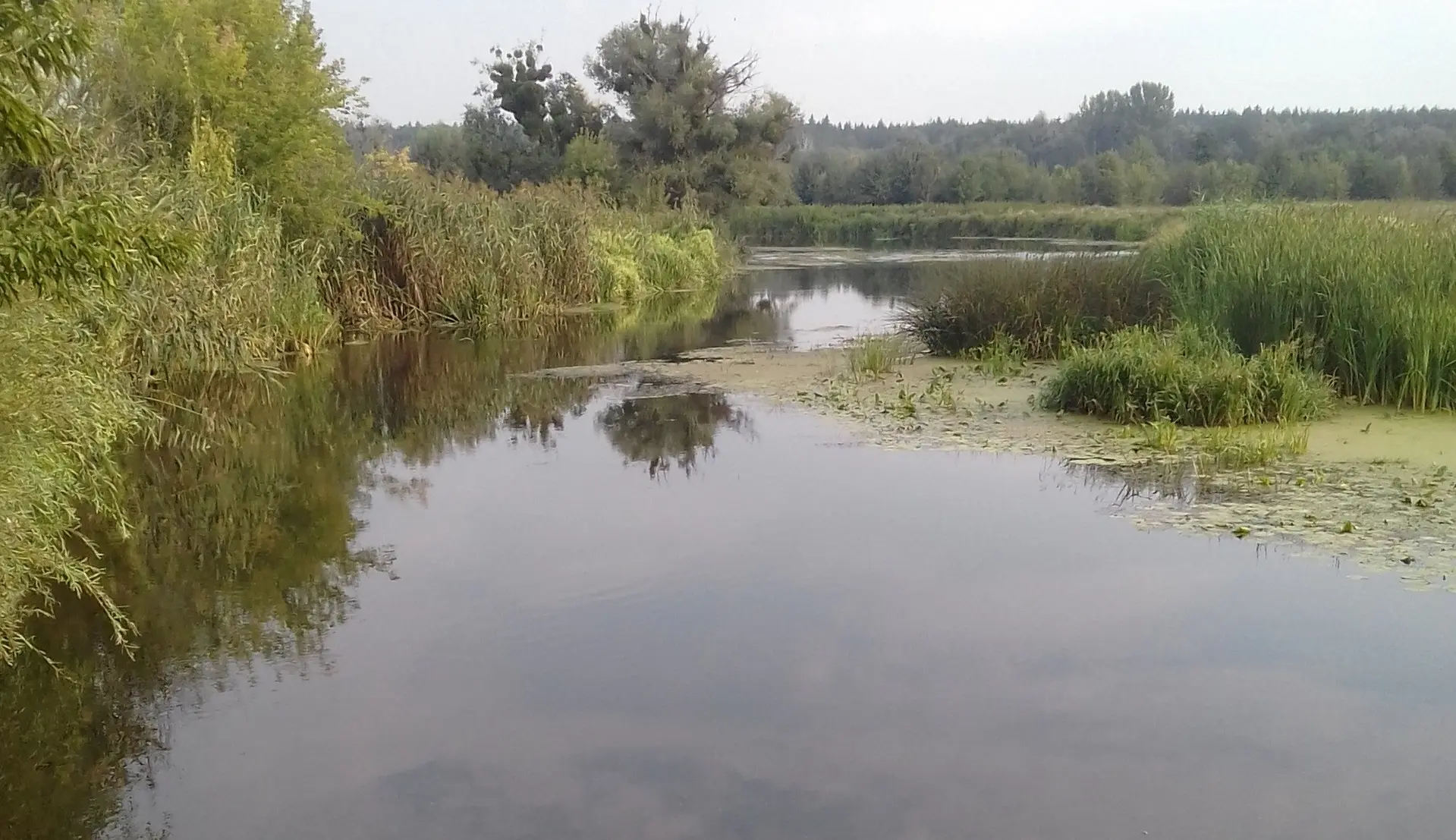 Фото Продаю дом, 156 кв. м, Рокитне, цена: 21000 $, код 4850