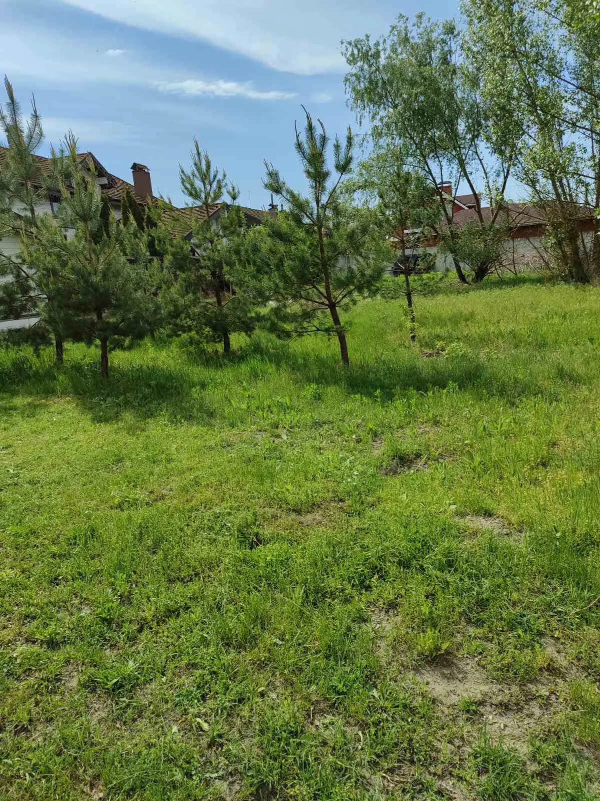 Фото Продаю земельный участок, Веговская ул.  Пухівка, цена: 34000 $, код 4882