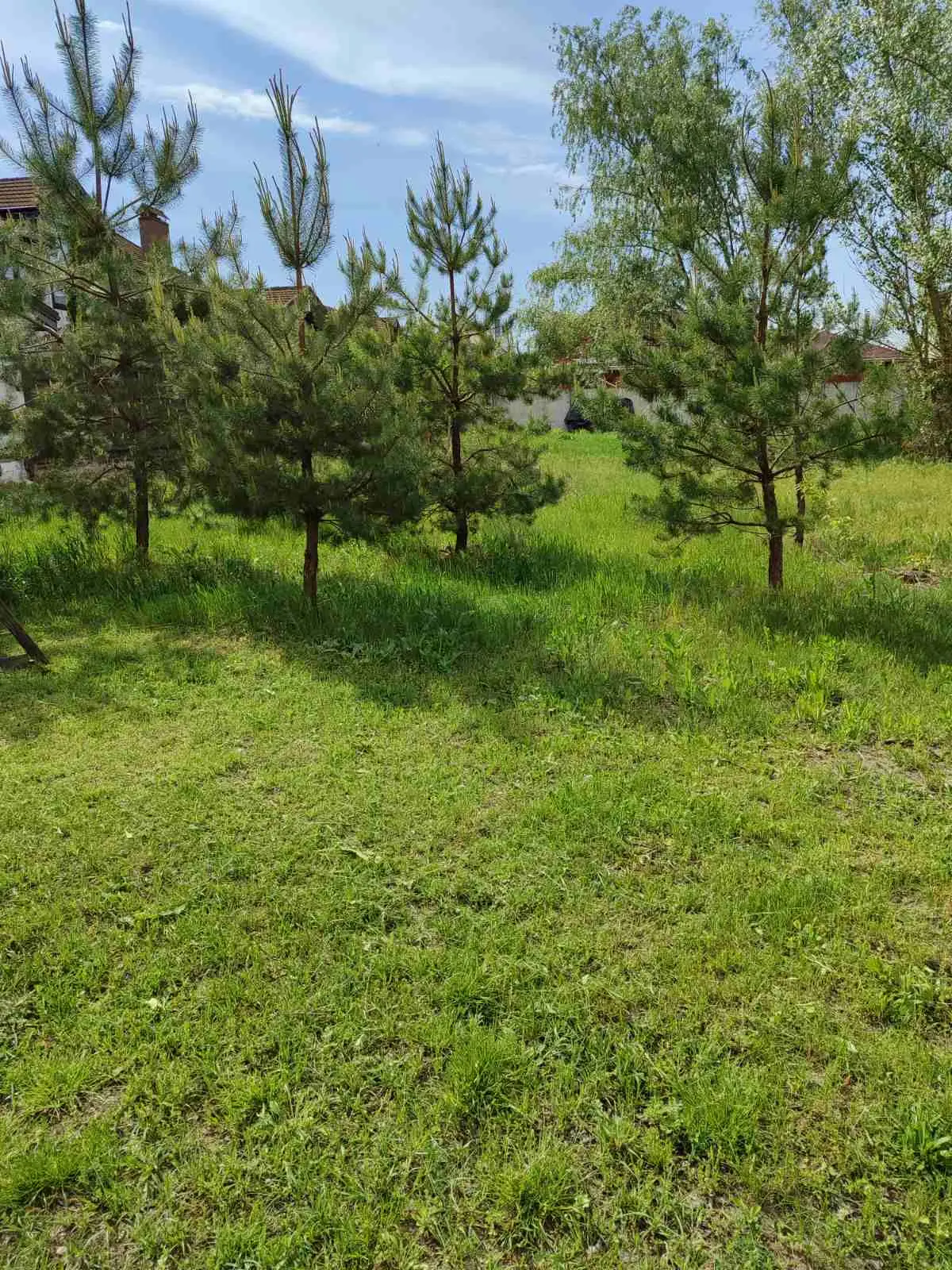 Фото Продаю земельный участок, Веговская ул.  Пухівка, цена: 34000 $, код 4882