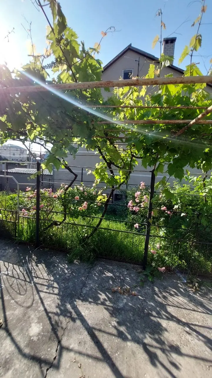 Фото Продаю будинок, 350 кв. м, Абрикосова вул. 107 Одеса, ціна: 240000 $, код 1529