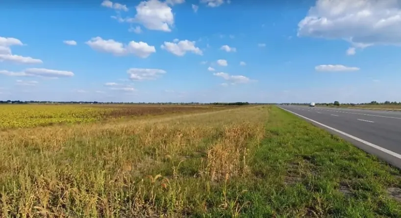 Фото Продаю земельну ділянку, Балівка, ціна: 50000 $, код 4943