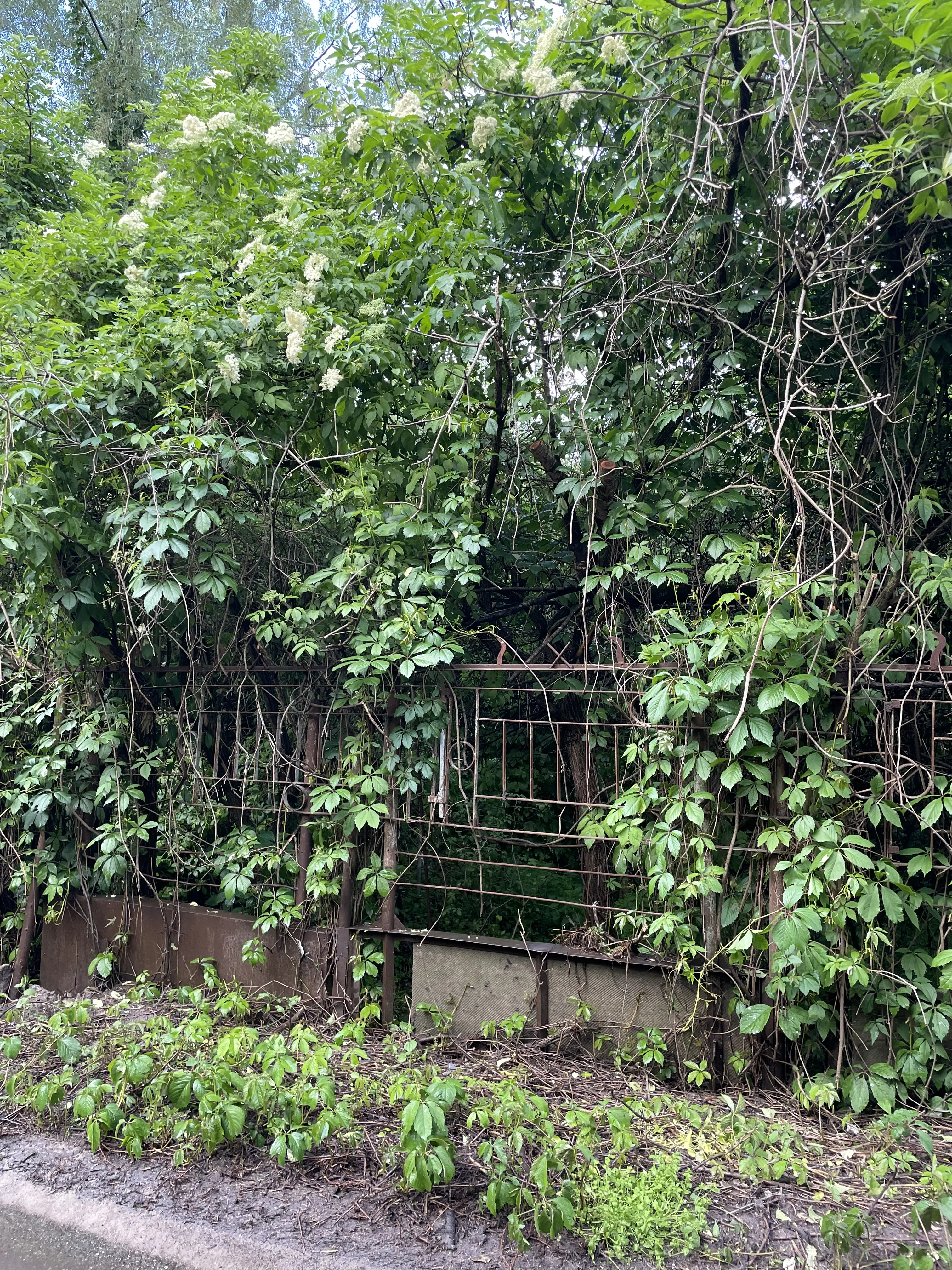 Фото Продаю земельный участок, Подгорная ул.  Новые Безрадичи, цена: 25000 $, код 4945