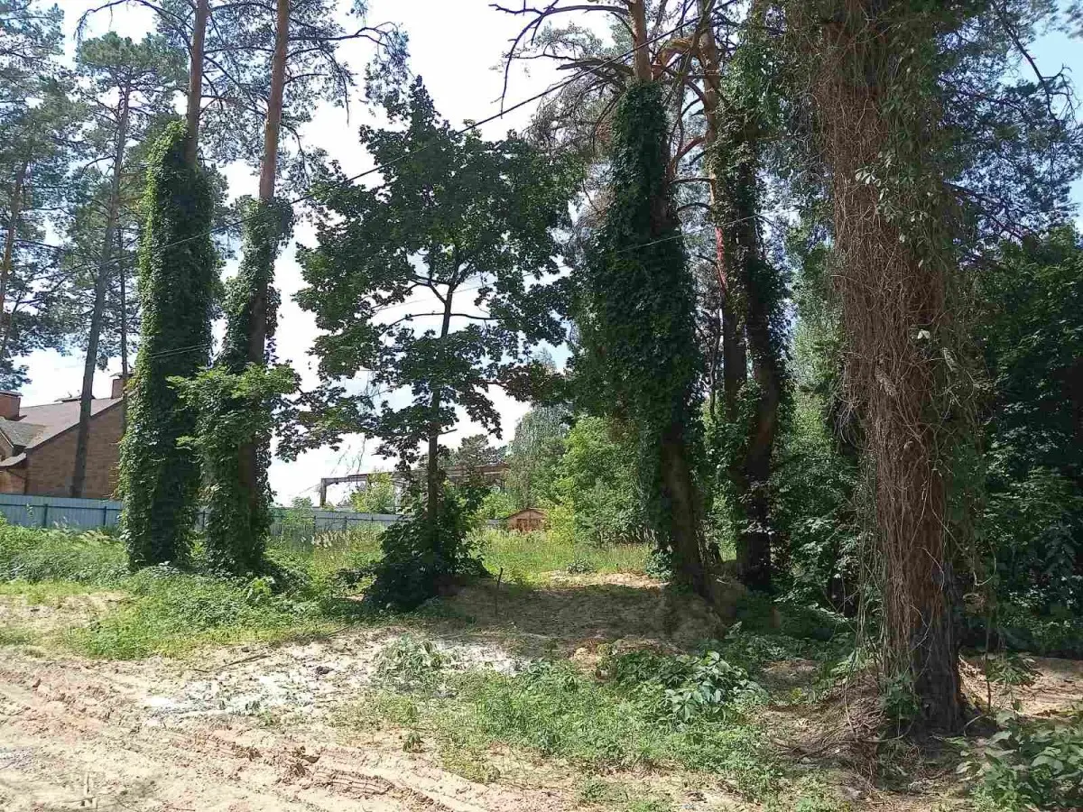 Фото Продаю земельну ділянку, Радистів пров.  Київ, ціна: 70000 $, код 4979