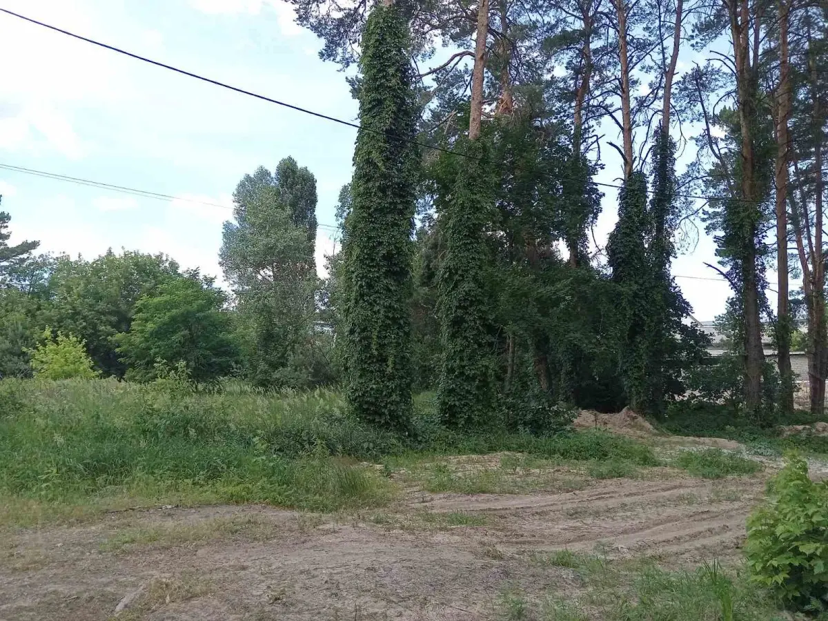 Фото Продаю земельну ділянку, Радистів пров.  Київ, ціна: 70000 $, код 4979