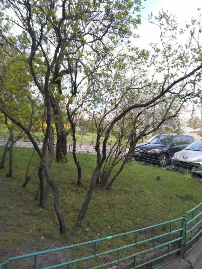 Фото Rent a 1-room apartment, Roman Shukhevych Avenue (Henerala Vatutina Avenue)  Kyiv for long-term rent, price: 8500 UAH, code 5099