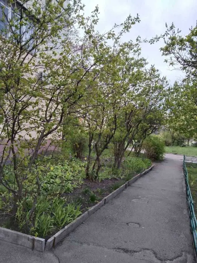 Фото Rent a 1-room apartment, Roman Shukhevych Avenue (Henerala Vatutina Avenue)  Kyiv for long-term rent, price: 8500 UAH, code 5099