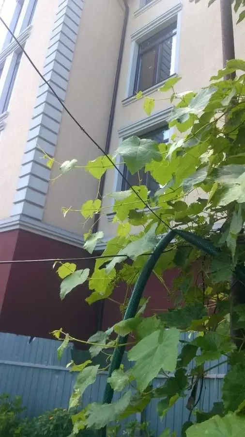 Фото Продаю дом, 65 кв. м, Майская ул.  Киев, цена: 70000 USD, код 5105
