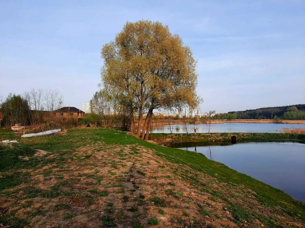 Фото Продаю земельный участок, Киев, цена: 299000 USD, код 5107