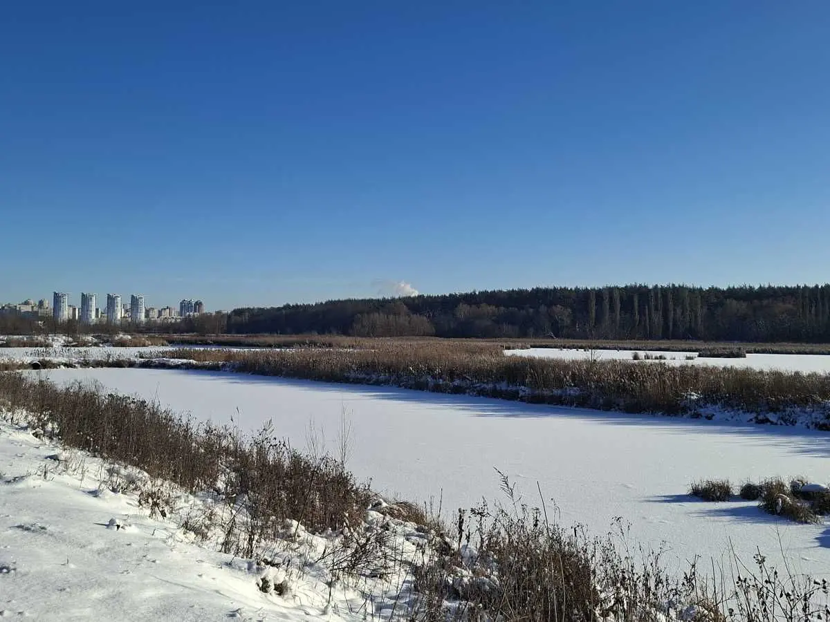 Фото Продаю земельный участок, Киев, цена: 299000 USD, код 5107