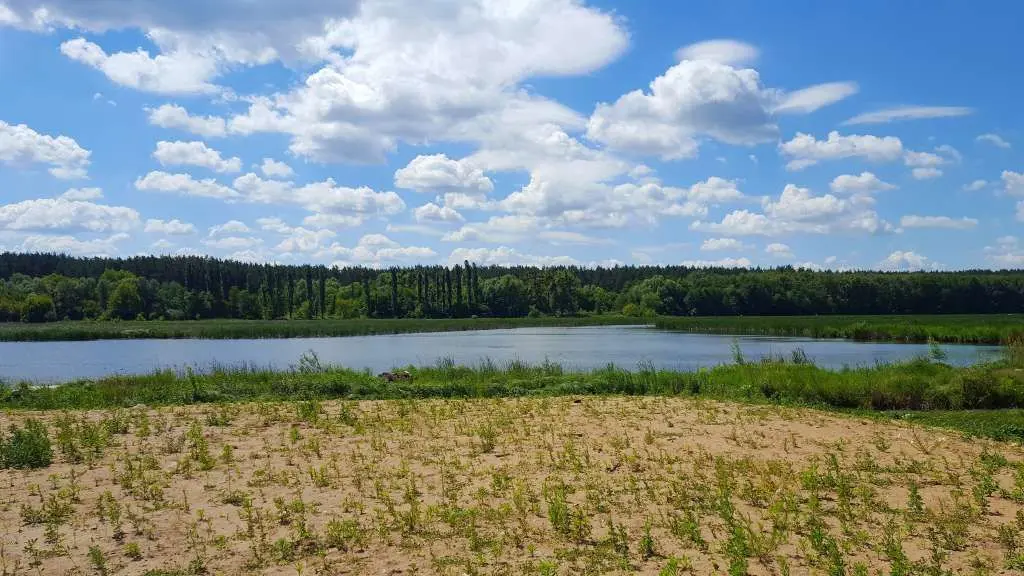 Фото Продаю земельный участок, Киев, цена: 299000 USD, код 5107