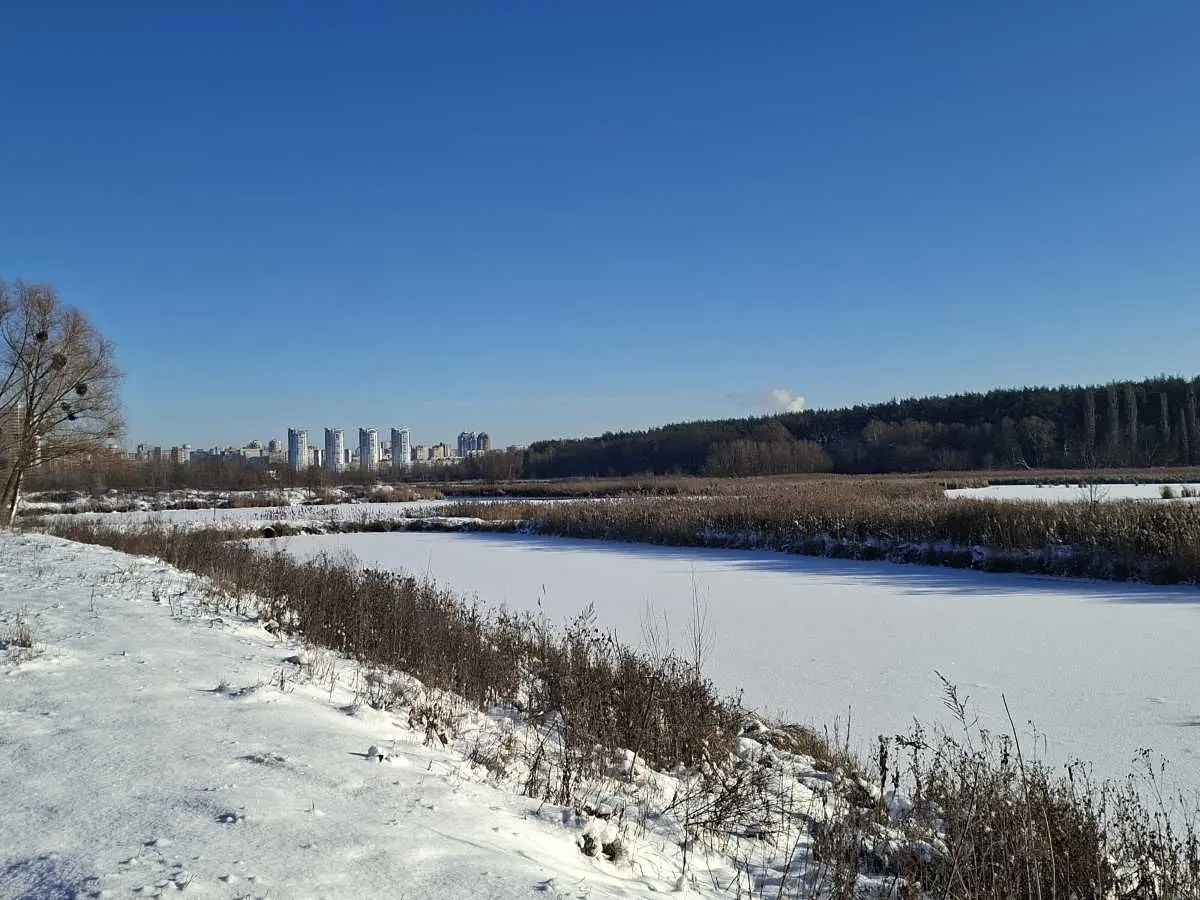 Фото Продаю земельный участок, Киев, цена: 159000 USD, код 5109