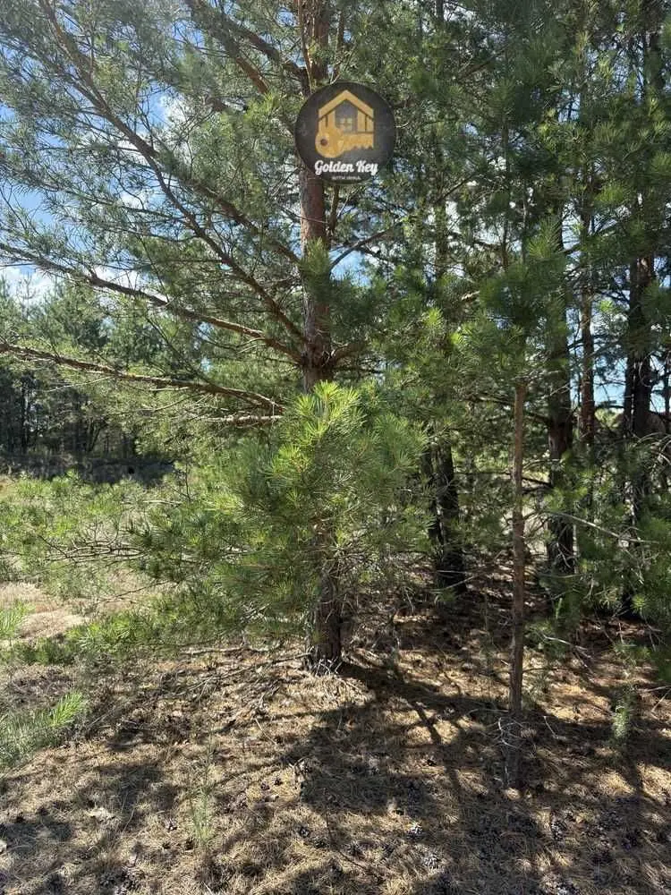 Фото Selling a land plot, Khotianivka, price: 8000 $, code 5191