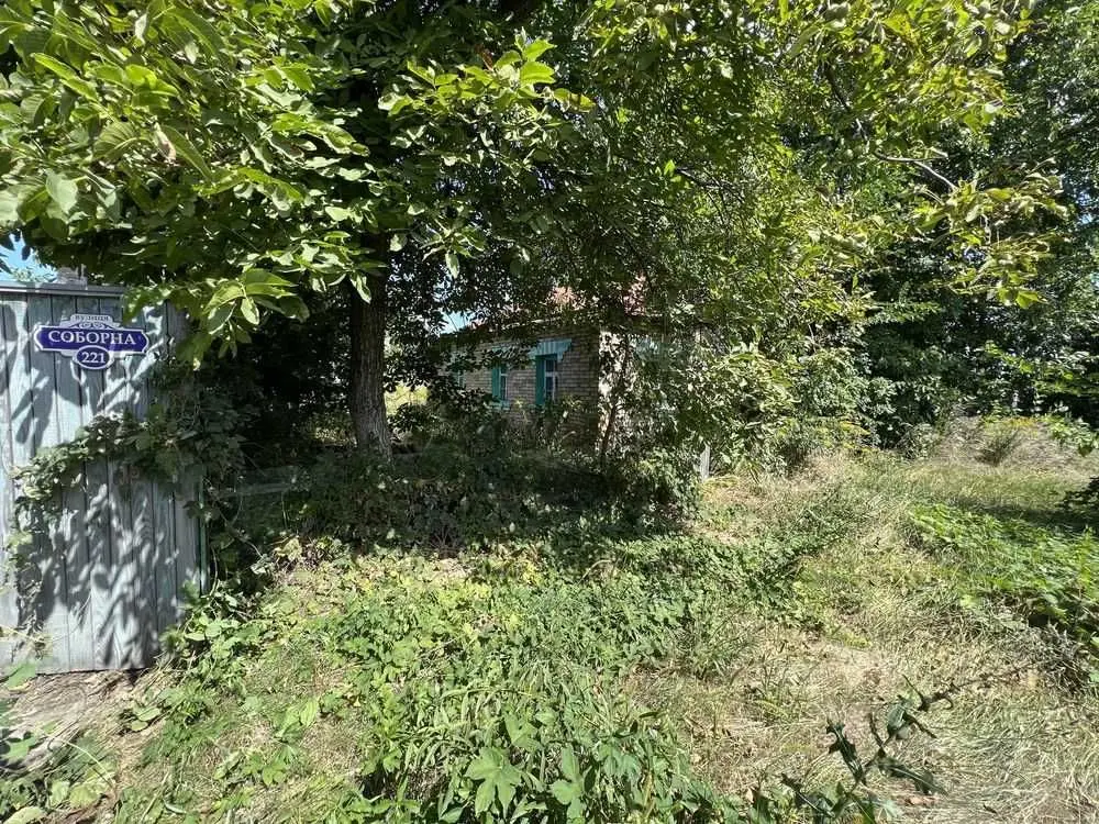 Фото Продаю земельный участок, Гореничи, цена: 75000 USD, код 5205