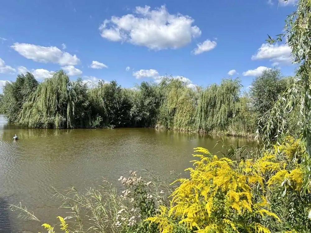 Фото Selling a land plot, Bilohorodka, price: 850000 USD, code 5206