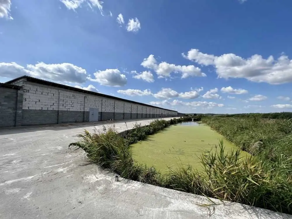 Фото Selling a land plot, Bilohorodka, price: 850000 USD, code 5206