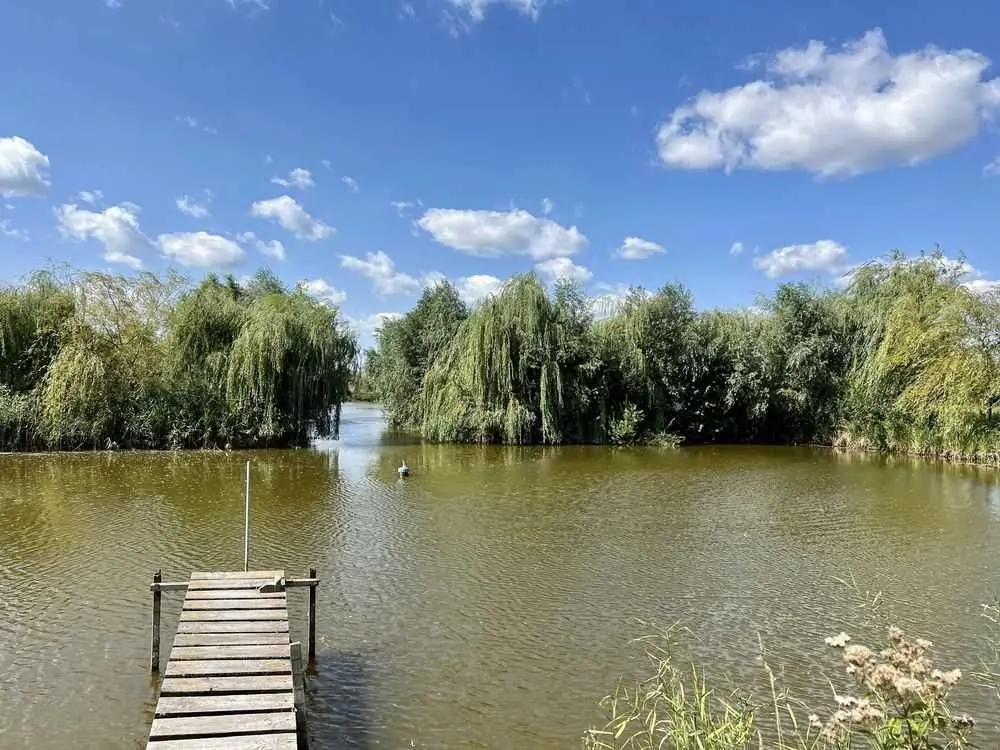 Фото Selling a land plot, Bilohorodka, price: 850000 USD, code 5206