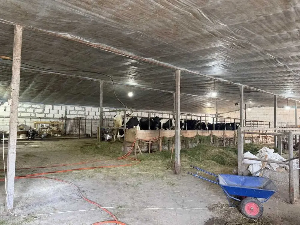 Фото Продаю земельный участок, Гореничи, цена: 250000 USD, код 5213