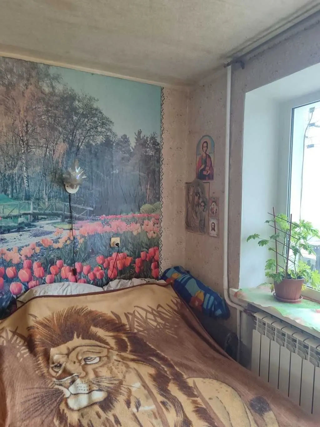 Фото Продаю 1 кімнатну квартиру, 22.4 кв. м, Ржевська вул.  Сміла, ціна: 10500 USD, код 5269