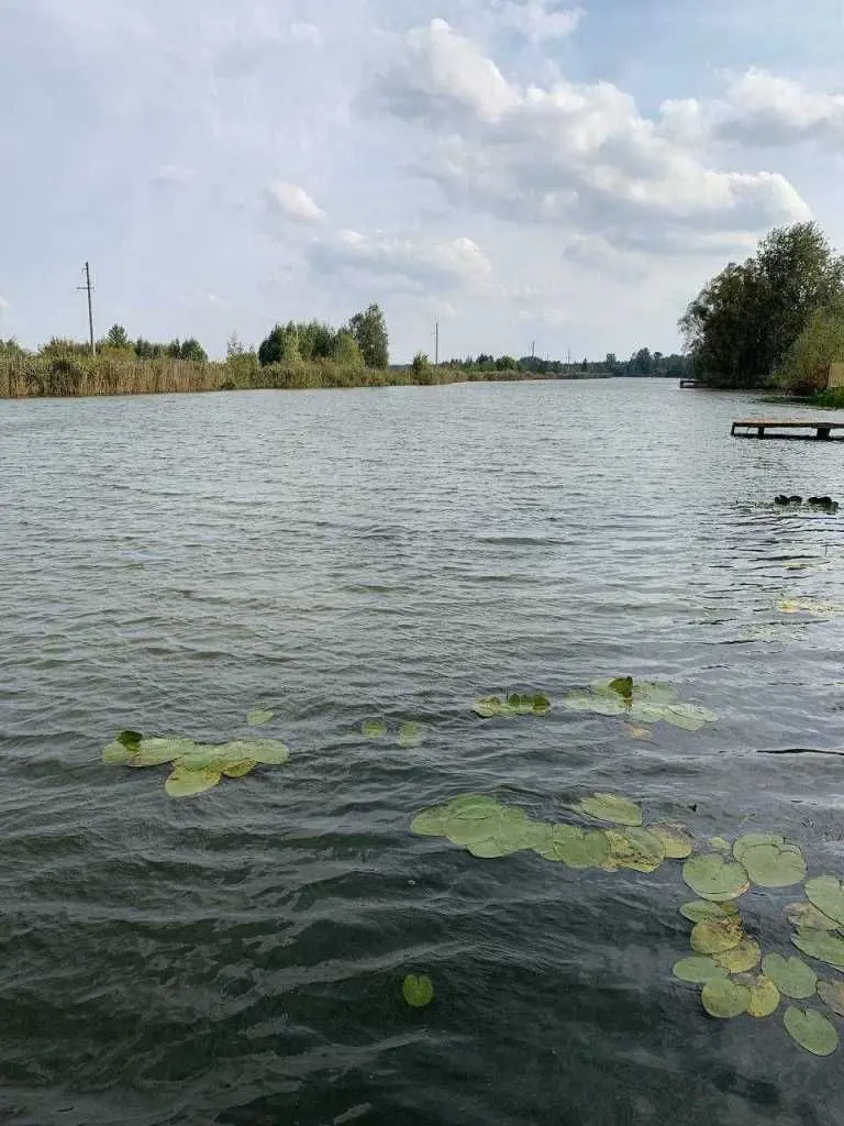 Фото Продаю будинок, 585 кв. м, Проців, ціна: 365000 EUR, код 5295