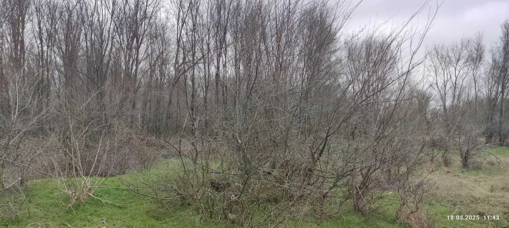 Фото Продаю земельну ділянку, Незалежної України вул. (40 років Радянської України) 2 Запоріжжя, ціна: 1094000 UAH, код 5322