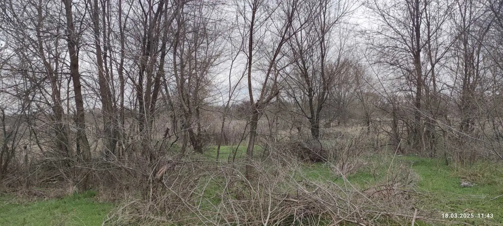 Фото Продаю земельну ділянку, Арсена Коваленка вул. (Адмірала Макарова)  Запоріжжя, ціна: 118000 UAH, код 5323