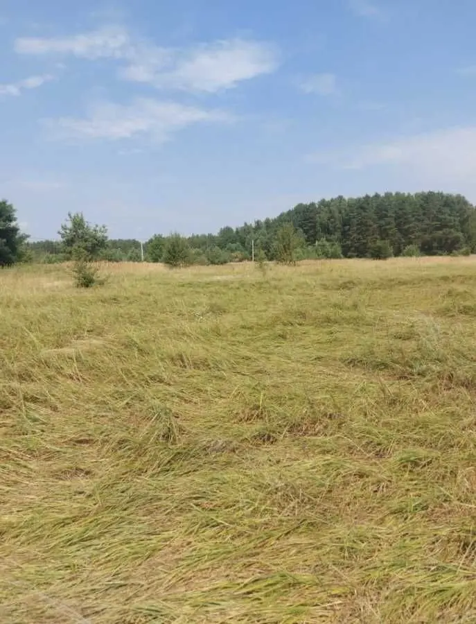 Фото Selling a land plot, Polova Street  Yasnohorodka, price: 7000 USD, code 5345