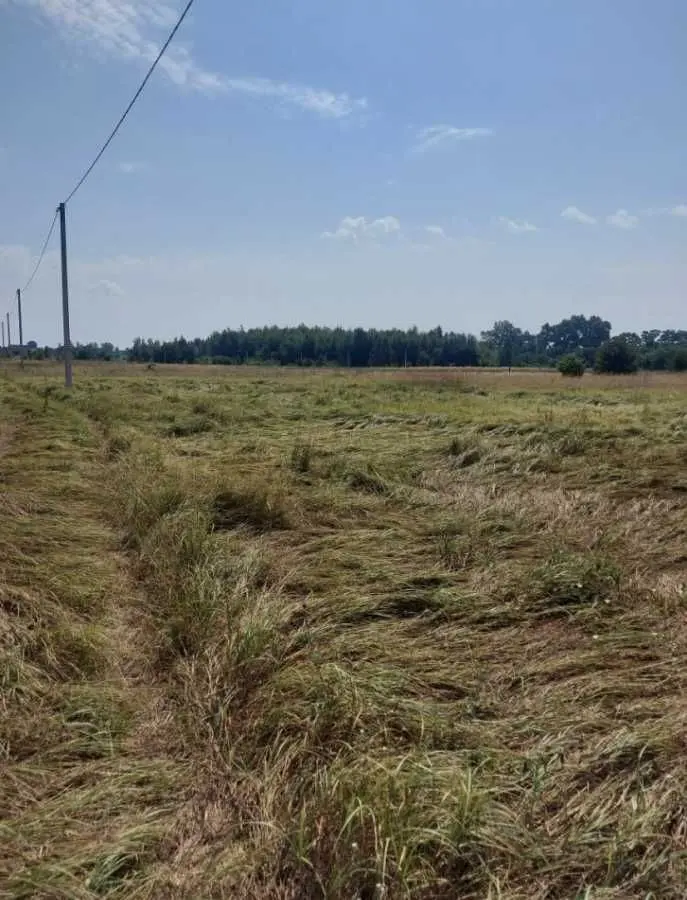 Фото Selling a land plot, Polova Street  Yasnohorodka, price: 7000 USD, code 5345