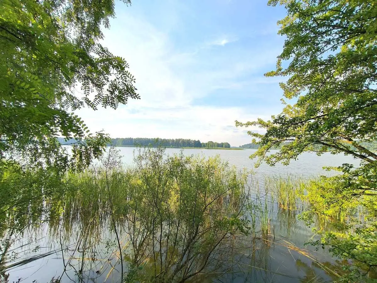 Фото Продаю земельный участок, Молодёжная ул.  Маковище, цена: 500 USD, код 5402