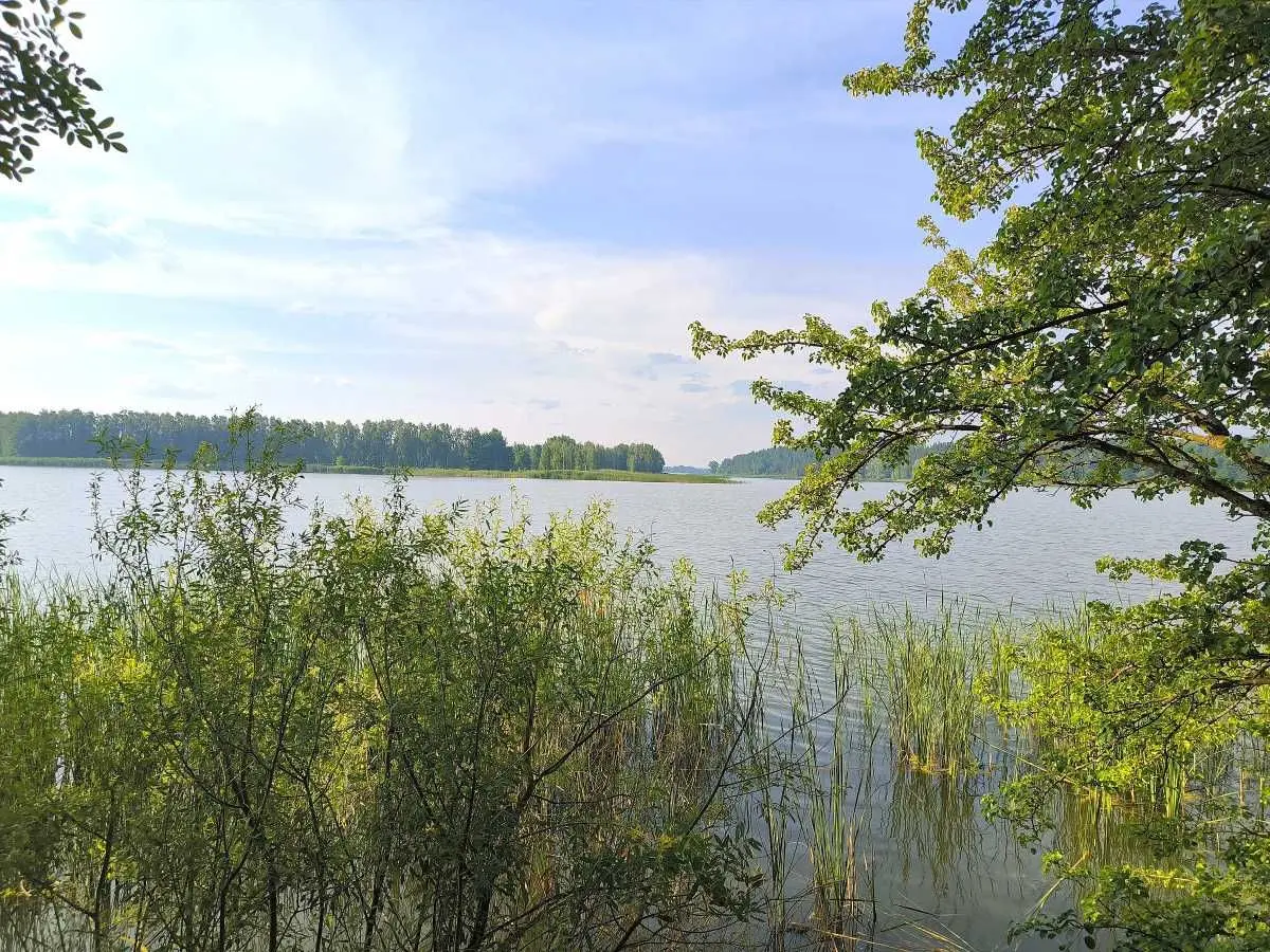 Фото Продаю земельный участок, Молодёжная ул.  Маковище, цена: 500 USD, код 5402