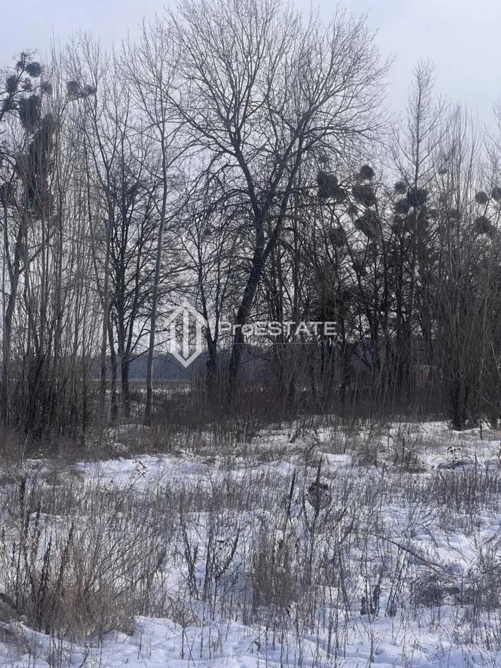 Фото Продаю земельный участок, Гнідин, цена: 75000 USD, код 5413