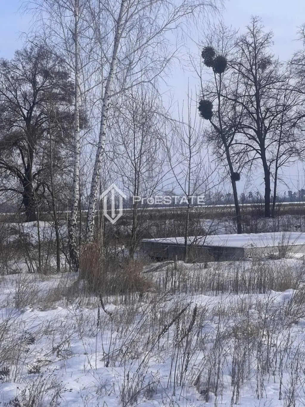 Фото Продаю земельный участок, Гнідин, цена: 75000 USD, код 5413