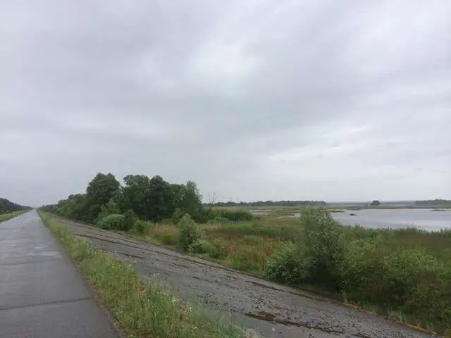 Фото Продаю земельный участок, Центральная ул. (Пролетарская)  Процев, цена: 58000 USD, код 5420
