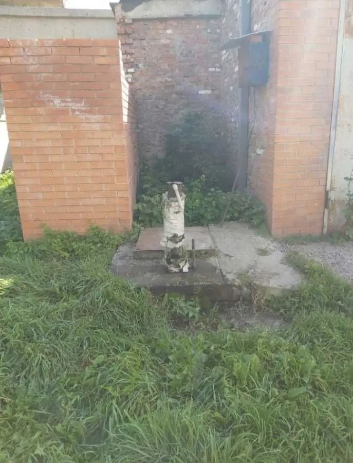 Фото Продаю паркінг, гараж, 48 кв. м, Суми, ціна: 6500 USD, код 5469