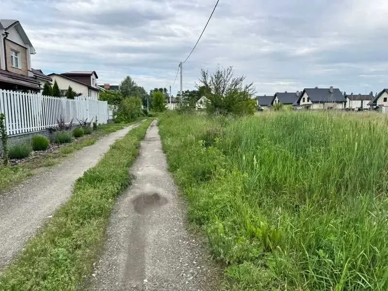 Фото Продаю земельный участок, Счастливое, цена: 300515 UAH, код 5480