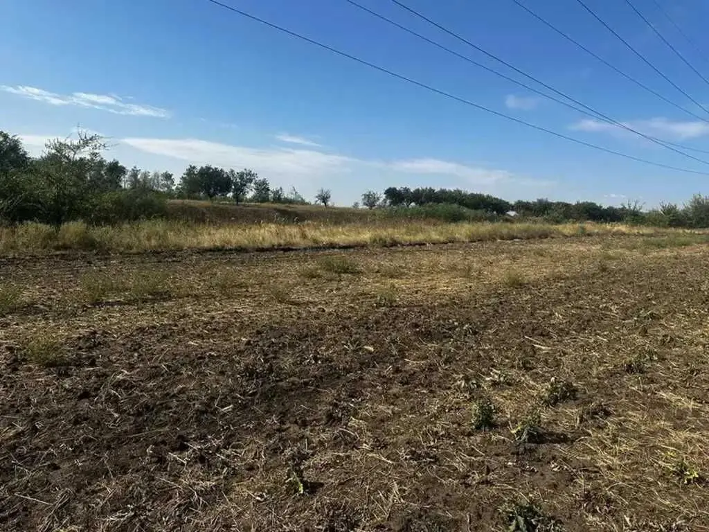 Фото Selling a land plot, Nova street  Novooleksandrivka, price: 5842127 UAH, code 5487